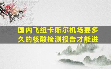 国内飞纽卡斯尔机场要多久的核酸检测报告才能进