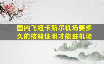 国内飞纽卡斯尔机场要多久的核酸证明才能进机场