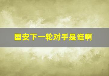 国安下一轮对手是谁啊