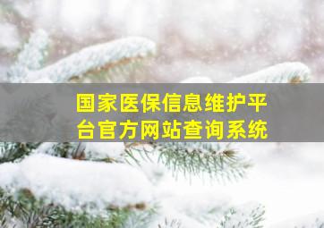 国家医保信息维护平台官方网站查询系统