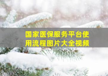 国家医保服务平台使用流程图片大全视频