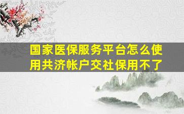 国家医保服务平台怎么使用共济帐户交社保用不了