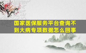 国家医保服务平台查询不到大病专项数据怎么回事