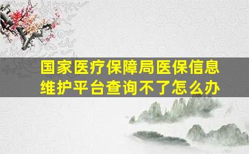 国家医疗保障局医保信息维护平台查询不了怎么办