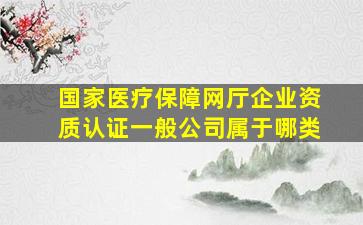 国家医疗保障网厅企业资质认证一般公司属于哪类