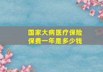 国家大病医疗保险保费一年是多少钱