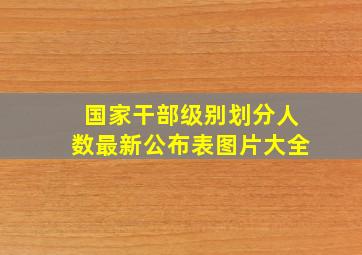 国家干部级别划分人数最新公布表图片大全