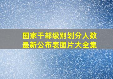 国家干部级别划分人数最新公布表图片大全集