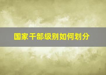 国家干部级别如何划分