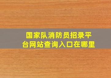 国家队消防员招录平台网站查询入口在哪里