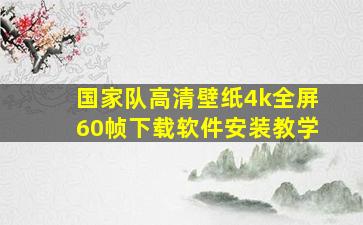 国家队高清壁纸4k全屏60帧下载软件安装教学