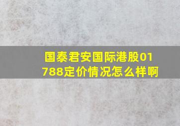 国泰君安国际港股01788定价情况怎么样啊