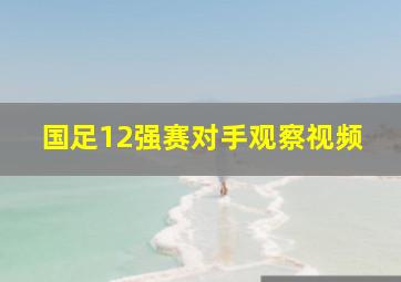 国足12强赛对手观察视频