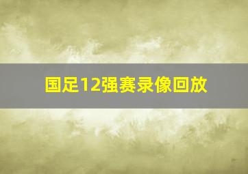 国足12强赛录像回放