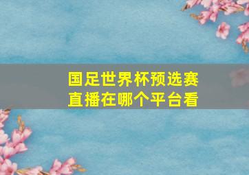 国足世界杯预选赛直播在哪个平台看