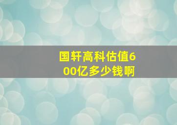 国轩高科估值600亿多少钱啊