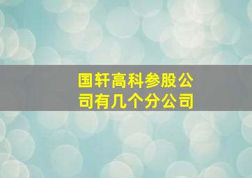 国轩高科参股公司有几个分公司