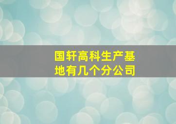 国轩高科生产基地有几个分公司