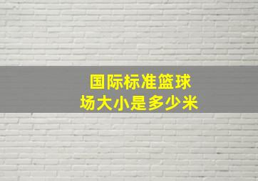 国际标准篮球场大小是多少米