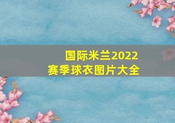 国际米兰2022赛季球衣图片大全