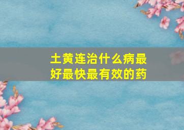 土黄连治什么病最好最快最有效的药