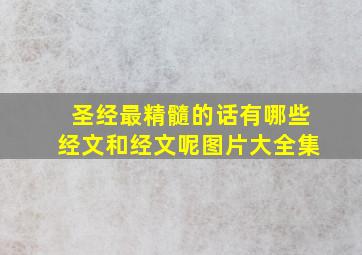 圣经最精髓的话有哪些经文和经文呢图片大全集