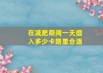 在减肥期间一天摄入多少卡路里合适