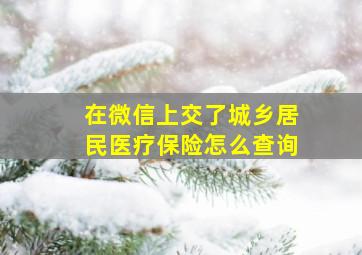 在微信上交了城乡居民医疗保险怎么查询