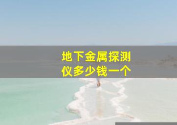 地下金属探测仪多少钱一个