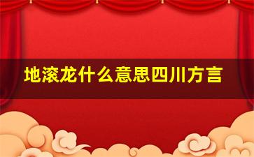 地滚龙什么意思四川方言