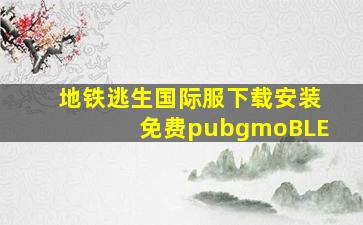 地铁逃生国际服下载安装免费pubgmoBLE