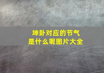 坤卦对应的节气是什么呢图片大全