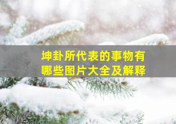 坤卦所代表的事物有哪些图片大全及解释