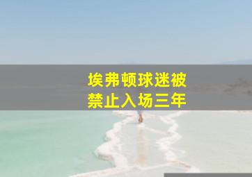 埃弗顿球迷被禁止入场三年