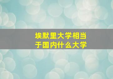 埃默里大学相当于国内什么大学