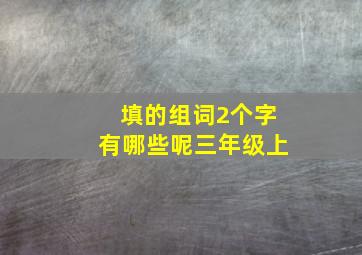 填的组词2个字有哪些呢三年级上