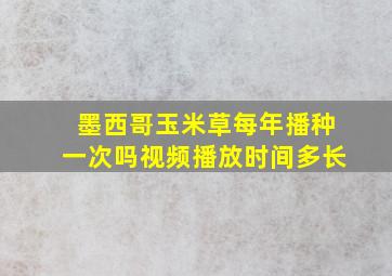 墨西哥玉米草每年播种一次吗视频播放时间多长