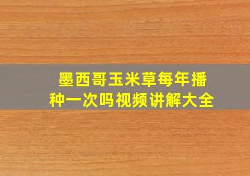 墨西哥玉米草每年播种一次吗视频讲解大全