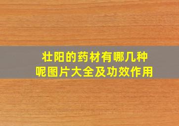 壮阳的药材有哪几种呢图片大全及功效作用