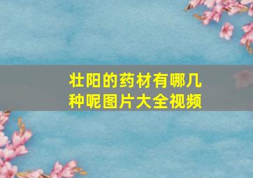 壮阳的药材有哪几种呢图片大全视频