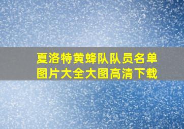 夏洛特黄蜂队队员名单图片大全大图高清下载