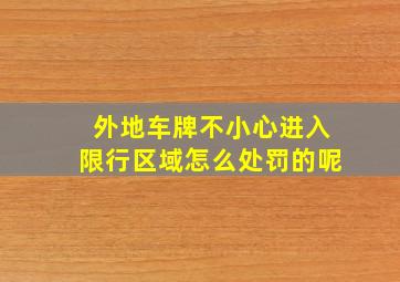 外地车牌不小心进入限行区域怎么处罚的呢