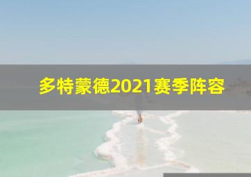 多特蒙德2021赛季阵容