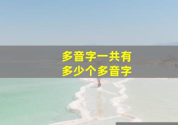 多音字一共有多少个多音字