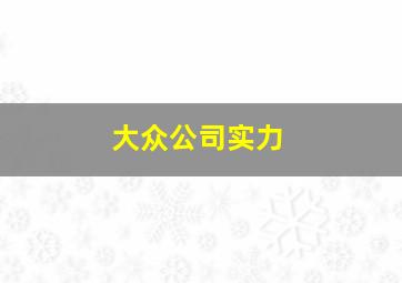 大众公司实力