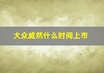 大众威然什么时间上市