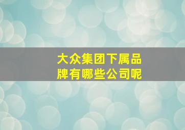 大众集团下属品牌有哪些公司呢