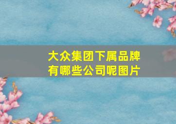 大众集团下属品牌有哪些公司呢图片