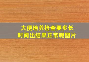 大便培养检查要多长时间出结果正常呢图片