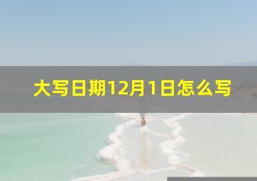 大写日期12月1日怎么写